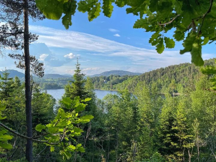 Den Serendipitøse Sagaen om en Norsk Oase: En Historie om Eiendomsmagi